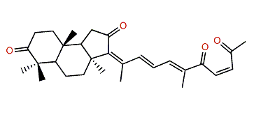 Isogeoditin A